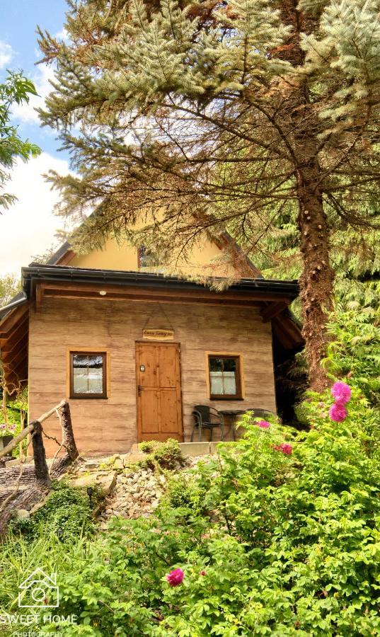 הוילה זקופאנה Oaza Tatry III מראה חיצוני תמונה